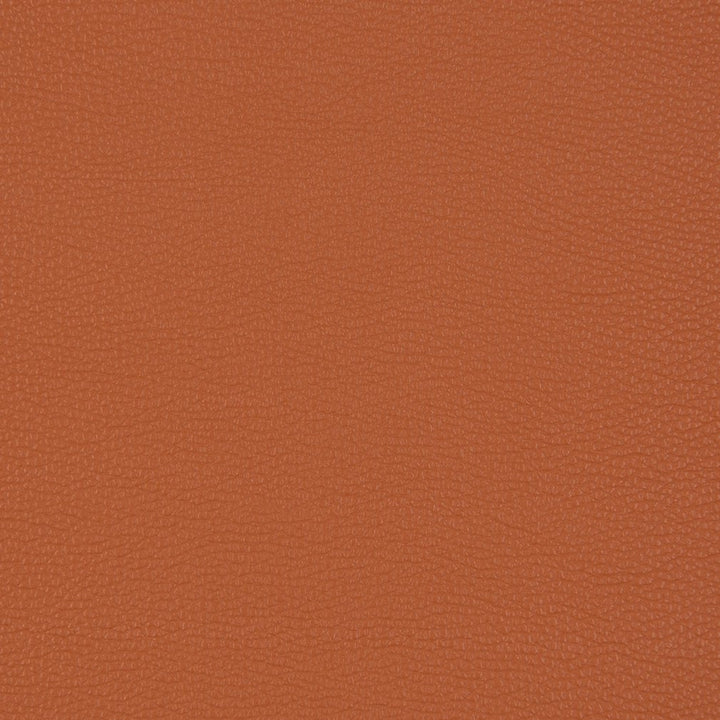 V203 Sienna by Charlotte Fabric UltraHyde III Face: Vinyl/Polyurethane, Back: Polyester Microsuede, 29oz. Asia Exceeds 200,000 Wyzenbeek Rubs (Heavy Duty) No Repeat 54 Inches - Fabric Carolina -