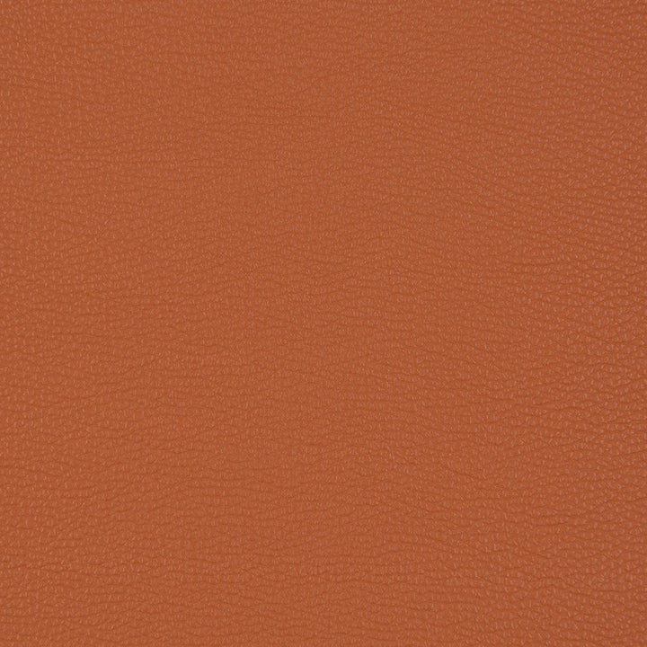 V203 Sienna by Charlotte Designer Fabric UltraHyde III Face: Vinyl/Polyurethane, Back: Polyester Microsuede, 29oz. Asia Exceeds 200,000 Wyzenbeek Rubs (Heavy Duty) No Repeat 54 Inches - Swanky Fabrics -