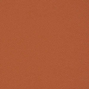 V203 Sienna by Charlotte Fabric