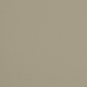 V209 Pewter by Charlotte Fabric