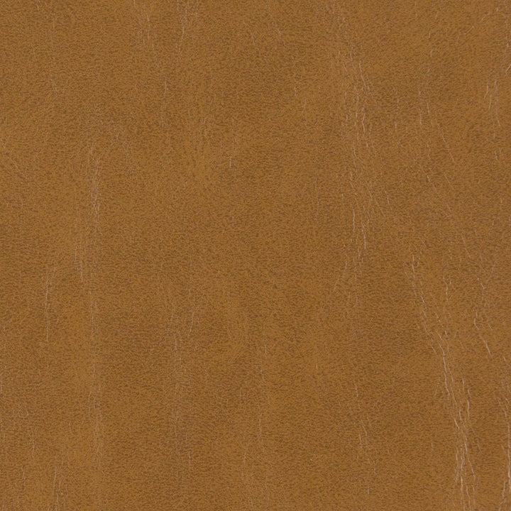 V214 Hazelnut by Charlotte Fabric UltraHyde III Face: Vinyl/Polyurethane, Back: Polyester Microsuede, 29oz. Asia Exceeds 2,000,000 Wyzenbeek Double Rubs (Heavy Duty) </p><p>Repeat: 54 Inches - Fabric Carolina -