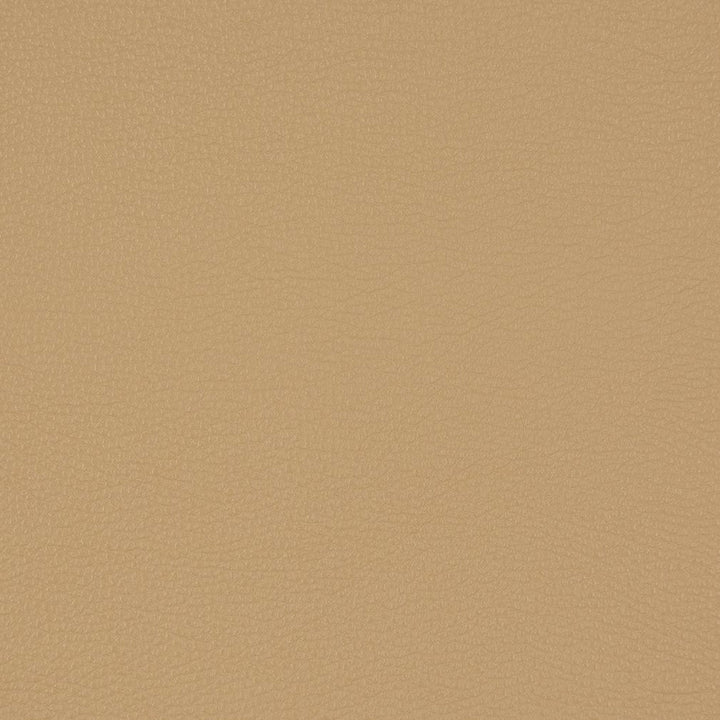 V222 Fawn by Charlotte Designer Fabric UltraHyde III Face: Vinyl/Polyurethane, Back: Polyester Microsuede, 29oz. Asia Exceeds 2,000,000 Wyzenbeek Double Rubs (Heavy Duty) </p><p>Repeat: 54 Inches - Swanky Fabrics -