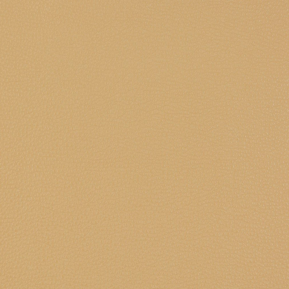 V229 Beach by Charlotte Designer Fabric UltraHyde III Face: Vinyl/Polyurethane, Back: Polyester Microsuede, 29oz. Asia Exceeds 200,000 Wyzenbeek Rubs (Heavy Duty) No Repeat 54 Inches - Swanky Fabrics -
