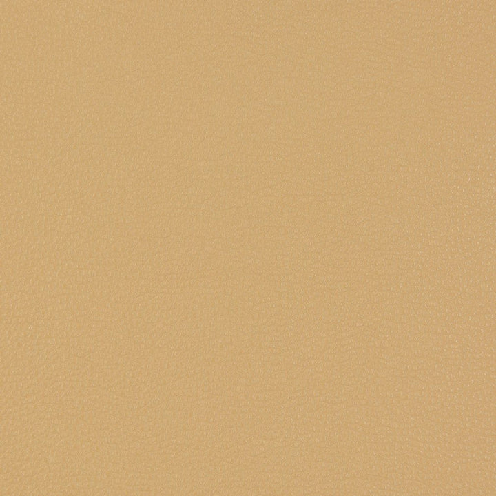 V229 Beach by Charlotte Designer Fabric UltraHyde III Face: Vinyl/Polyurethane, Back: Polyester Microsuede, 29oz. Asia Exceeds 200,000 Wyzenbeek Rubs (Heavy Duty) No Repeat 54 Inches - Swanky Fabrics -