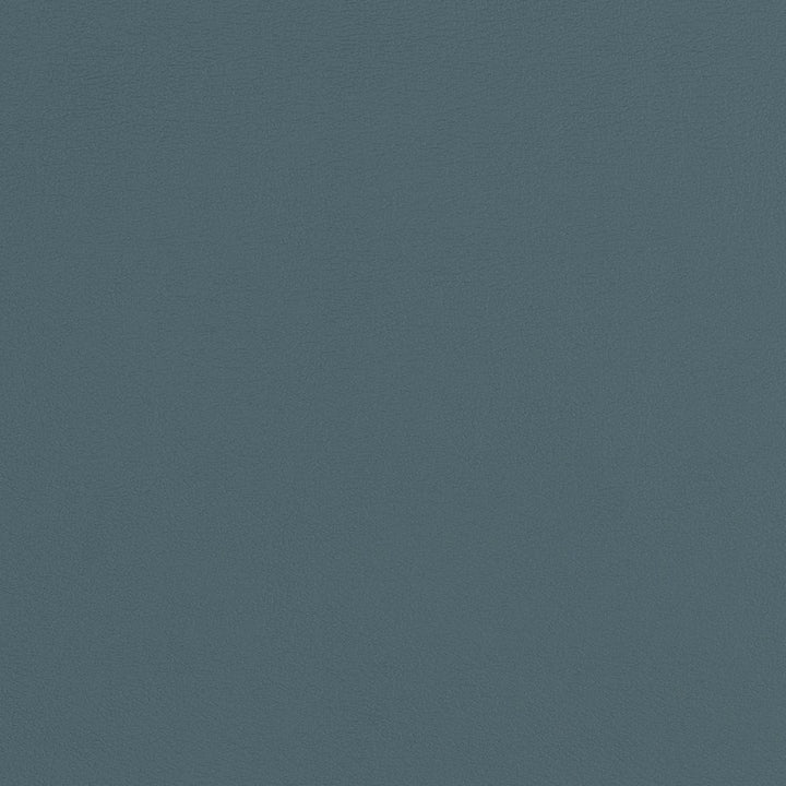 V279 Coastal by Charlotte Fabric Contract Vinyl 100% Virgin Vinyl, 34oz. Costa Rica Exceeds 200,000 Wyzenbeek Rubs (Heavy Duty) No Repeat 54 Inches - Fabric Carolina -