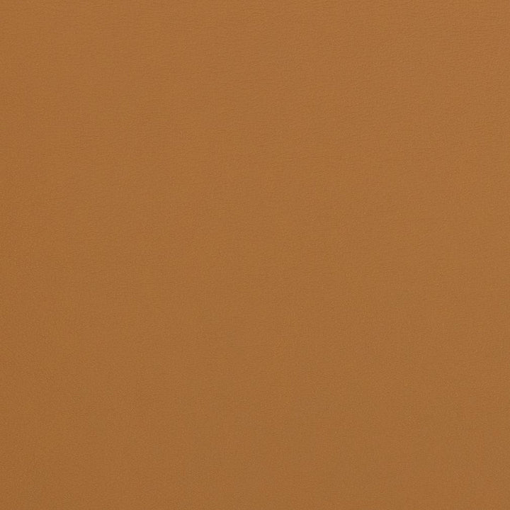 V280 Sable by Charlotte Fabric Contract Vinyl 100% Virgin Vinyl, 34oz. Costa Rica Exceeds 200,000 Wyzenbeek Rubs (Heavy Duty) No Repeat 54 Inches - Fabric Carolina -