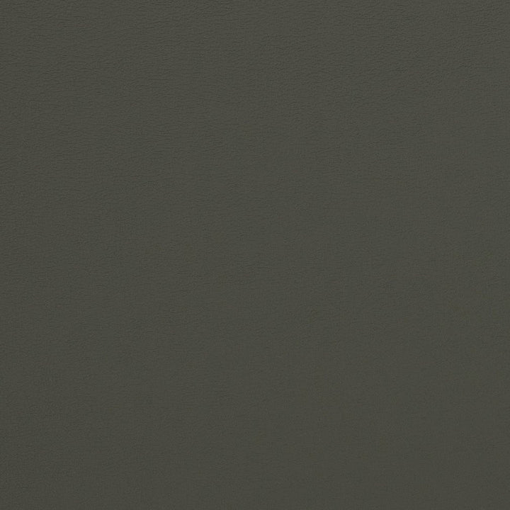 V281 Charcoal by Charlotte Fabric Contract Vinyl 100% Vinyl, 34oz. Costa Rica Exceeds 200,000 Wyzenbeek Rubs (Heavy Duty) </p><p>Repeat: No Repeat 54 Inches - Fabric Carolina -