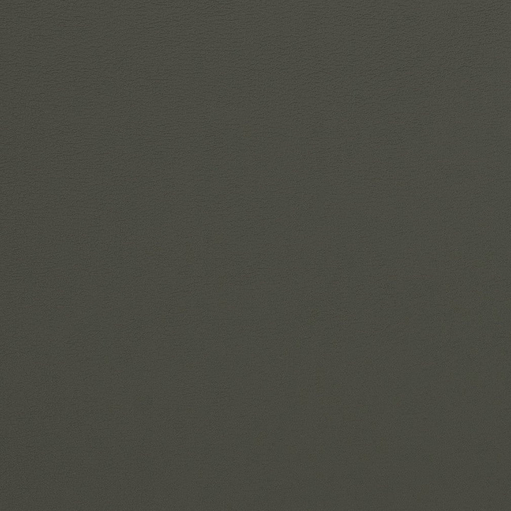 V281 Charcoal by Charlotte Designer Fabric Contract Vinyl 100% Virgin Vinyl, 34oz. Costa Rica Exceeds 200,000 Wyzenbeek Rubs (Heavy Duty) No Repeat 54 Inches - Swanky Fabrics -