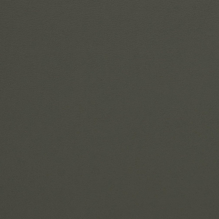 V281 Charcoal by Charlotte Designer Fabric Contract Vinyl 100% Vinyl, 34oz. Costa Rica Exceeds 200,000 Wyzenbeek Rubs (Heavy Duty) </p><p>Repeat: 54 Inches - Swanky Fabrics -