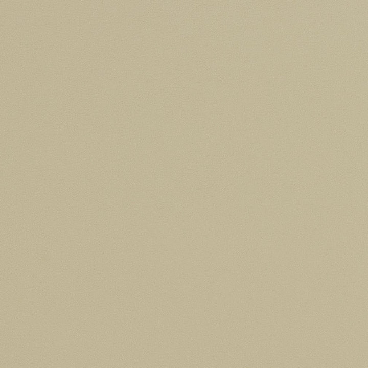 V282 Concrete by Charlotte Designer Fabric Contract Vinyl 100% Virgin Vinyl, 34oz. Costa Rica Exceeds 200,000 Wyzenbeek Rubs (Heavy Duty) No Repeat 54 Inches - Swanky Fabrics -
