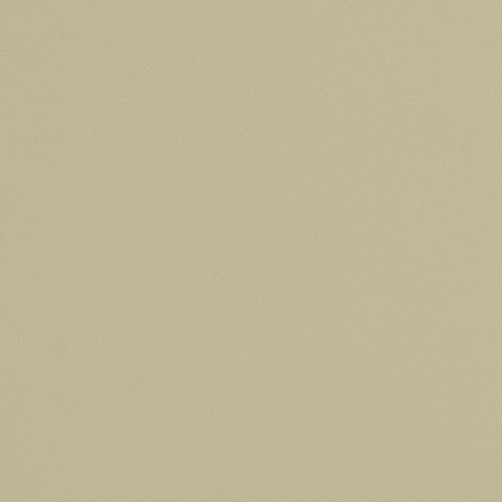 V282 Concrete by Charlotte Fabric Contract Vinyl 100% Vinyl, 34oz. Costa Rica Exceeds 200,000 Wyzenbeek Rubs (Heavy Duty) </p><p>Repeat: 54 Inches - Fabric Carolina -