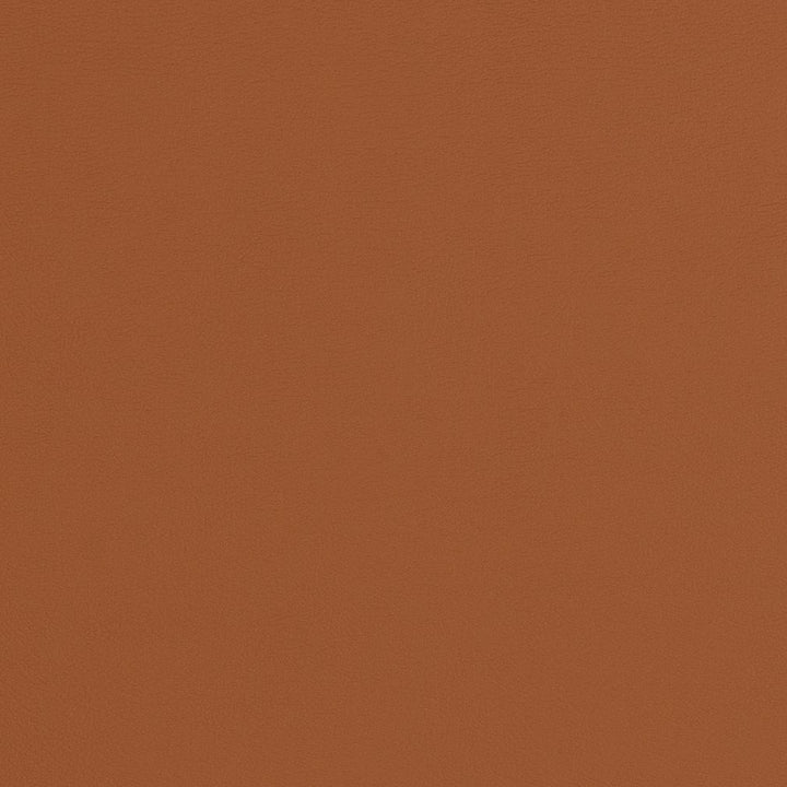V285 Cognac by Charlotte Fabric Contract Vinyl 100% Vinyl, 34oz. Costa Rica Exceeds 200,000 Wyzenbeek Rubs (Heavy Duty) </p><p>Repeat: No Repeat 54 Inches - Fabric Carolina -