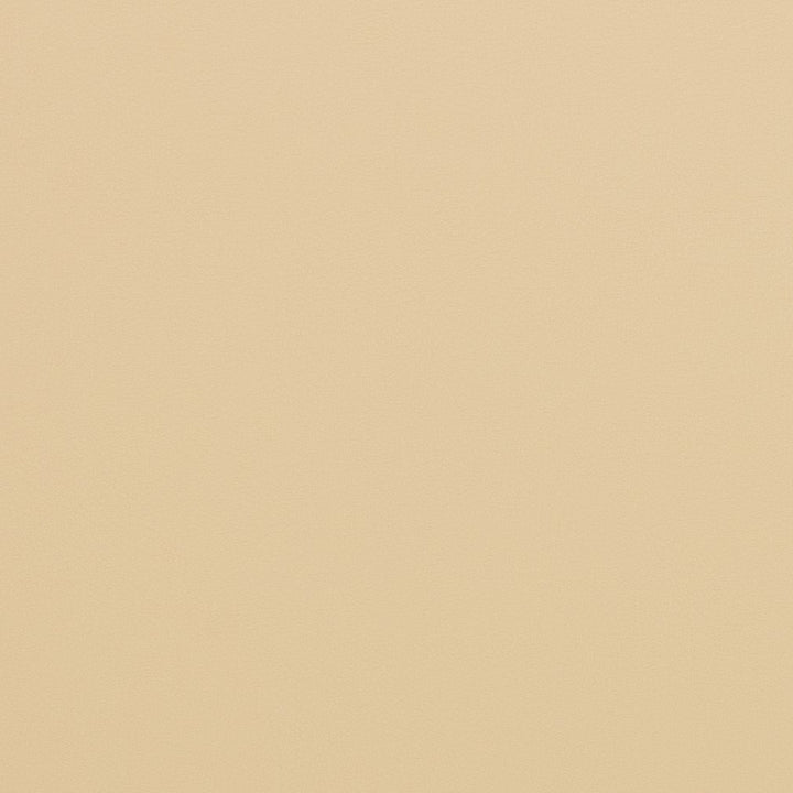 V286 Beach by Charlotte Fabric Contract Vinyl 100% Virgin Vinyl, 34oz. Costa Rica Exceeds 200,000 Wyzenbeek Rubs (Heavy Duty) No Repeat 54 Inches - Fabric Carolina -