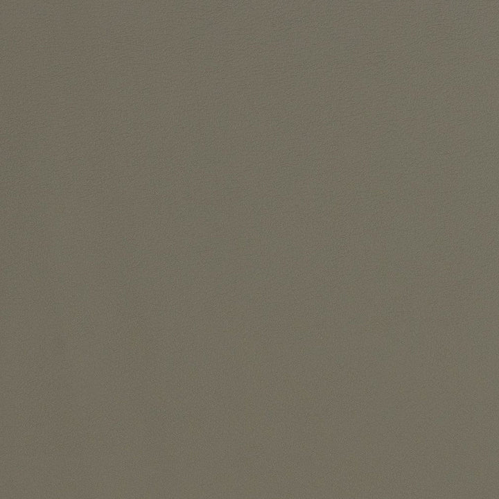 V287 Pewter by Charlotte Designer Fabric Contract Vinyl 100% Virgin Vinyl, 34oz. Costa Rica Exceeds 200,000 Wyzenbeek Rubs (Heavy Duty) No Repeat 54 Inches - Swanky Fabrics -