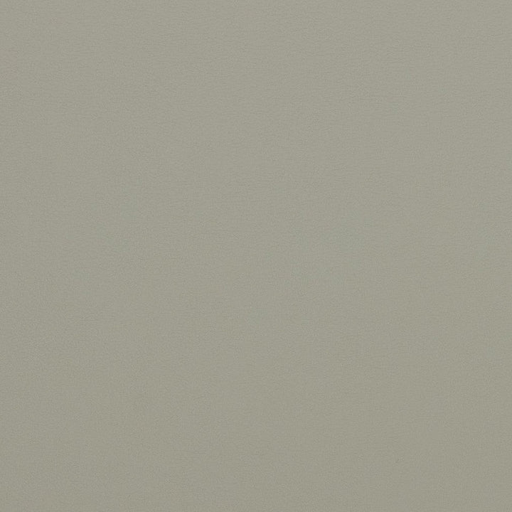 V291 Steel by Charlotte Designer Fabric Contract Vinyl 100% Virgin Vinyl, 34oz. Costa Rica Exceeds 200,000 Wyzenbeek Rubs (Heavy Duty) No Repeat 54 Inches - Swanky Fabrics -