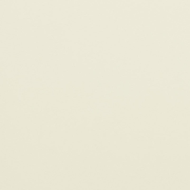 V292 Ivory by Charlotte Fabric Contract Vinyl 100% Virgin Vinyl, 34oz. Costa Rica Exceeds 200,000 Wyzenbeek Rubs (Heavy Duty) No Repeat 54 Inches - Fabric Carolina -
