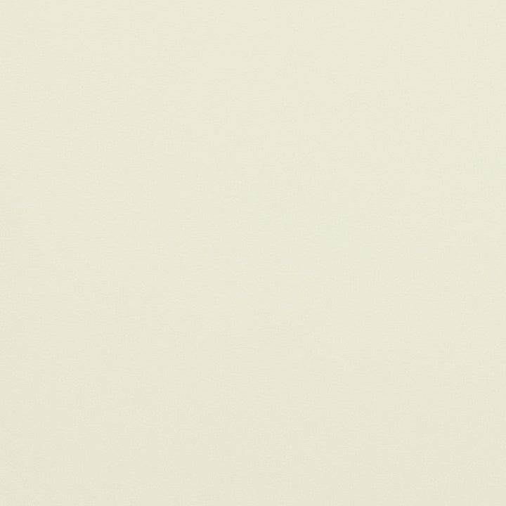 V292 Ivory by Charlotte Designer Fabric Contract Vinyl 100% Virgin Vinyl, 34oz. Costa Rica Exceeds 200,000 Wyzenbeek Rubs (Heavy Duty) No Repeat 54 Inches - Swanky Fabrics -