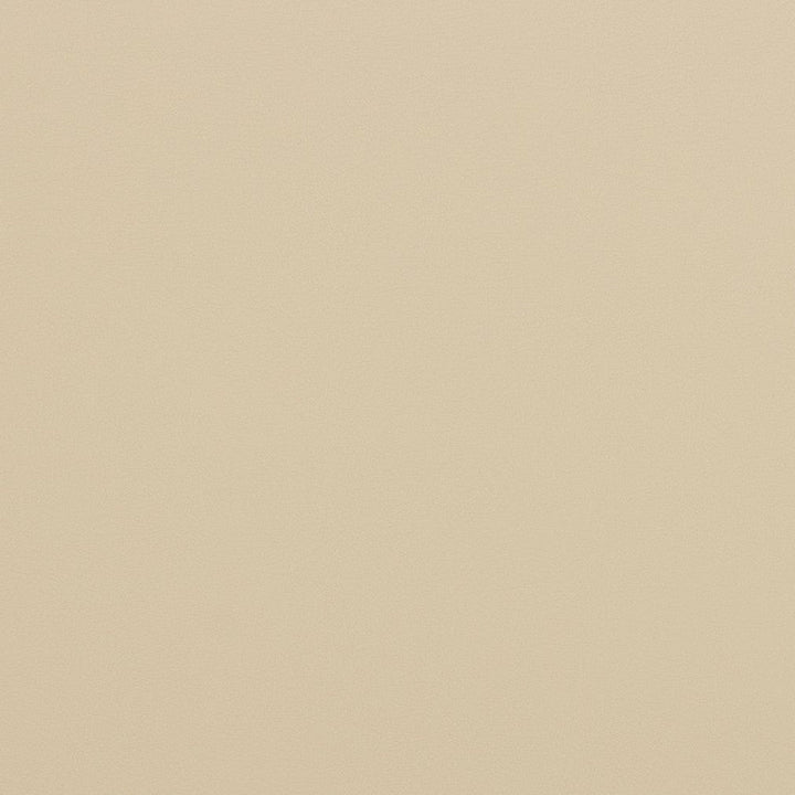 V298 Bone by Charlotte Designer Fabric Contract Vinyl 100% Virgin Vinyl, 34oz. Costa Rica Exceeds 200,000 Wyzenbeek Rubs (Heavy Duty) No Repeat 54 Inches - Swanky Fabrics -