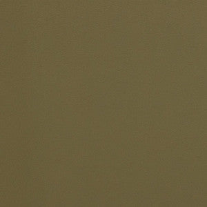 V300 Olive by Charlotte Fabric