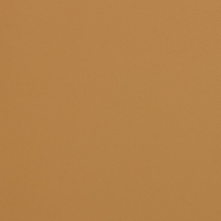 V306 Palomino by Charlotte Designer Fabric Contract Vinyl 100% Virgin Vinyl, 34oz. Costa Rica Exceeds 200,000 Wyzenbeek Rubs (Heavy Duty) No Repeat 54 Inches - Swanky Fabrics -