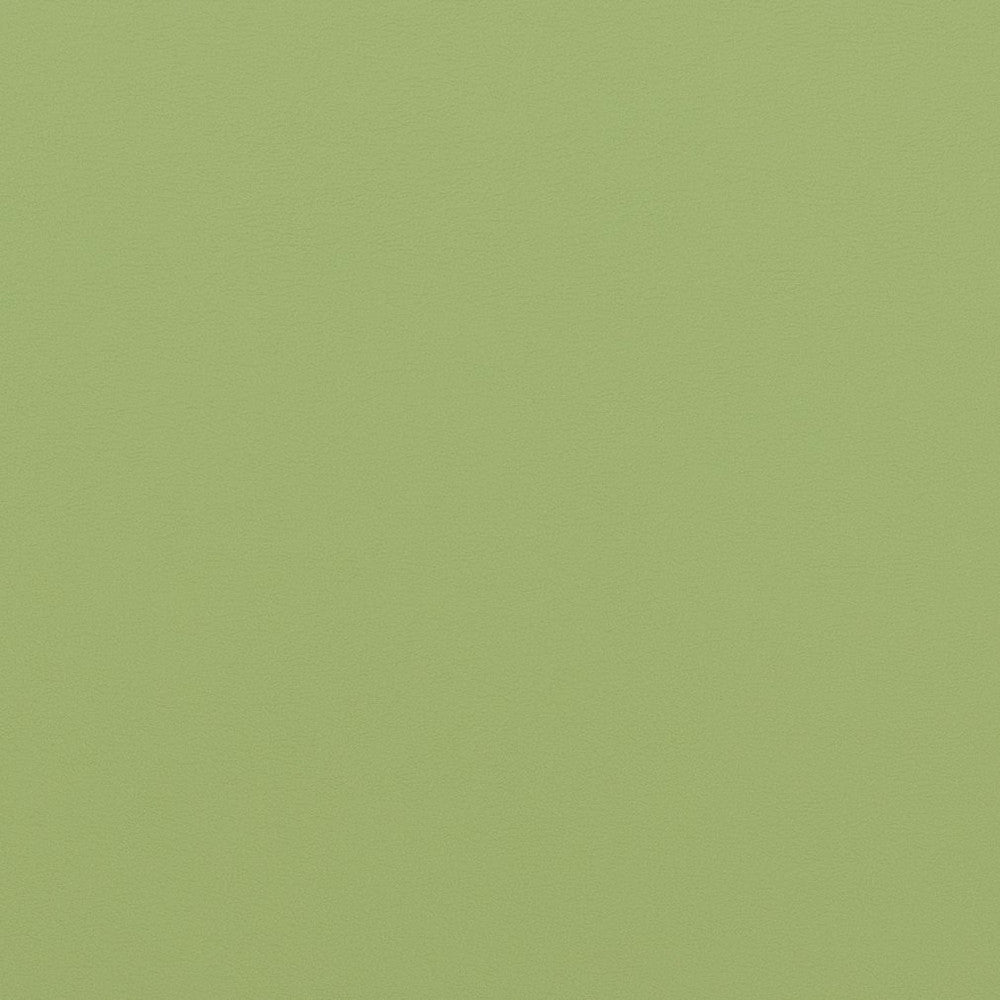V307 Meadow by Charlotte Designer Fabric Contract Vinyl 100% Virgin Vinyl, 34oz. Costa Rica Exceeds 200,000 Wyzenbeek Rubs (Heavy Duty) No Repeat 54 Inches - Swanky Fabrics -