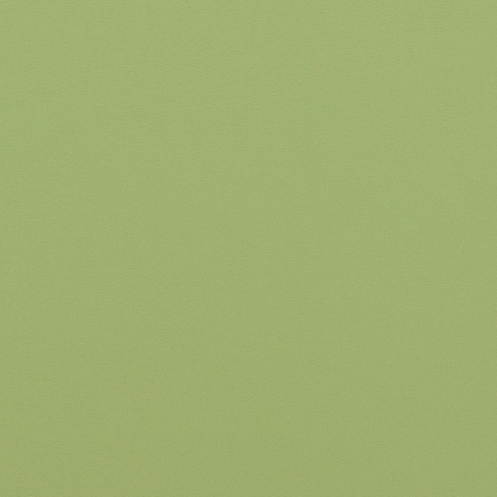 V307 Meadow by Charlotte Fabric Contract Vinyl 100% Virgin Vinyl, 34oz. Costa Rica Exceeds 200,000 Wyzenbeek Rubs (Heavy Duty) No Repeat 54 Inches - Fabric Carolina -