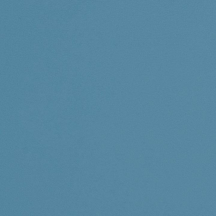 V309 Sky by Charlotte Fabric Contract Vinyl 100% Vinyl, 34oz. Costa Rica Exceeds 200,000 Wyzenbeek Rubs (Heavy Duty) </p><p>Repeat: No Repeat 54 Inches - Fabric Carolina -
