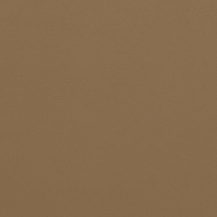V310 Latte by Charlotte Fabric Contract Vinyl 100% Virgin Vinyl, 34oz. Costa Rica Exceeds 200,000 Wyzenbeek Rubs (Heavy Duty) No Repeat 54 Inches - Fabric Carolina -