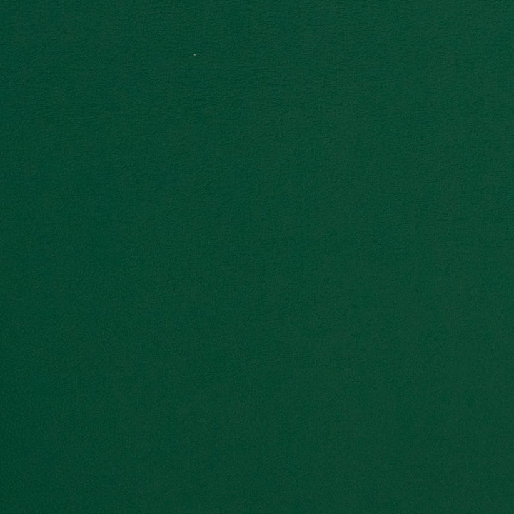V312 Evergreen by Charlotte Fabric Contract Vinyl 100% Virgin Vinyl, 34oz. Costa Rica Exceeds 200,000 Wyzenbeek Rubs (Heavy Duty) No Repeat 54 Inches - Fabric Carolina -