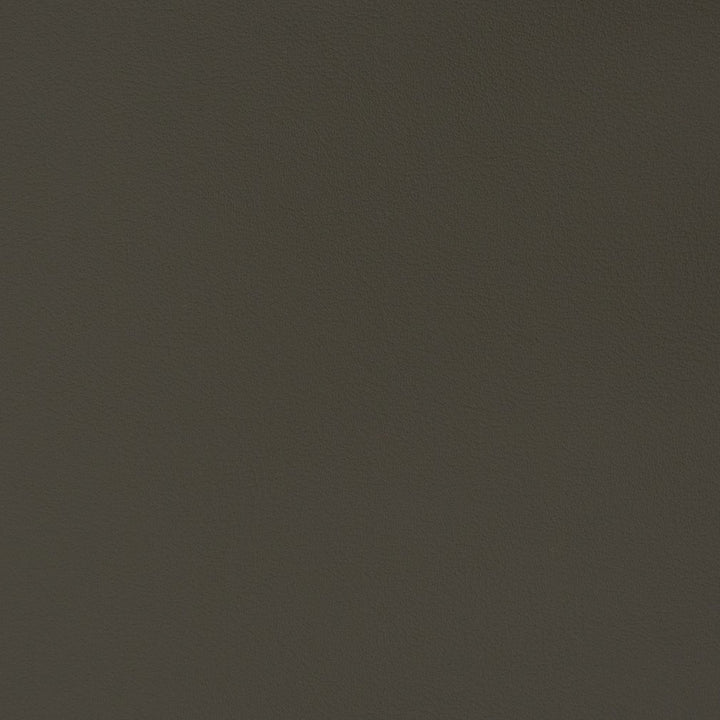 V332 Charcoal by Charlotte Fabric Automotive Vinyl 100% Vinyl, 30oz. Asia Exceeds 220,000 Wyzenbeek Rubs (Heavy Duty) </p><p>Repeat: 54 Inches - Fabric Carolina -
