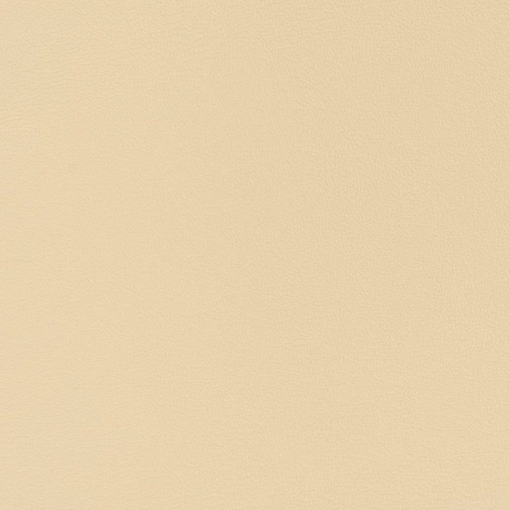 V333 Cream by Charlotte Designer Fabric Automotive Vinyl 100% Virgin Vinyl, 30oz. Asia Exceeds 220,000 Wyzenbeek Rubs (Heavy Duty) No Repeat 54 Inches - Swanky Fabrics -