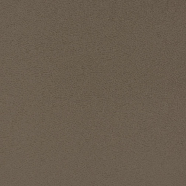 V338 Mink by Charlotte Fabric Automotive Vinyl 100% Virgin Vinyl, 30oz. Asia Exceeds 220,000 Wyzenbeek Rubs (Heavy Duty) No Repeat 54 Inches - Fabric Carolina -
