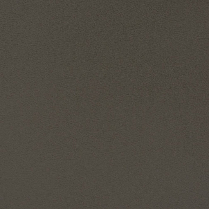 V339 Flint by Charlotte Designer Fabric Automotive Vinyl 100% Vinyl, 30oz. Asia Exceeds 220,000 Wyzenbeek Rubs (Heavy Duty) </p><p>Repeat: 54 Inches - Swanky Fabrics -