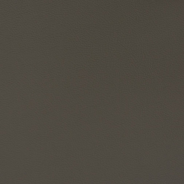 V339 Flint by Charlotte Fabric Automotive Vinyl 100% Vinyl, 30oz. Asia Exceeds 220,000 Wyzenbeek Rubs (Heavy Duty) </p><p>Repeat: 54 Inches - Fabric Carolina -