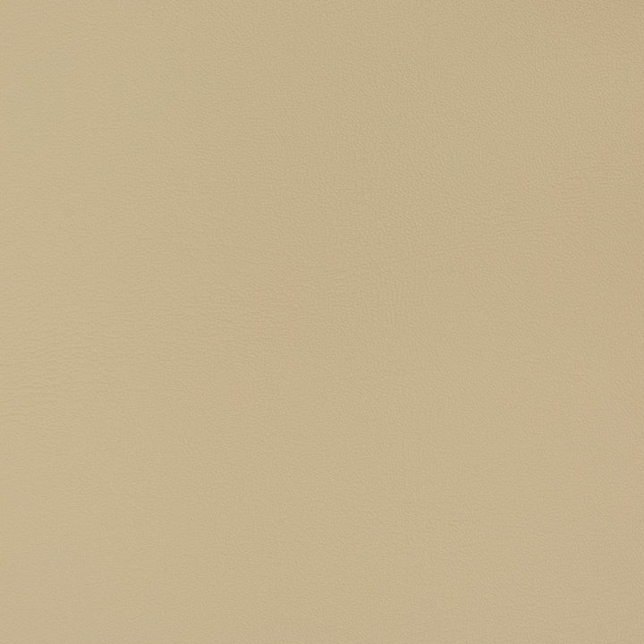 V340 Neutral by Charlotte Fabric Automotive Vinyl 100% Virgin Vinyl, 30oz. Asia Exceeds 220,000 Wyzenbeek Rubs (Heavy Duty) No Repeat 54 Inches - Fabric Carolina -