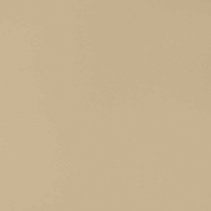 V340 Neutral by Charlotte Designer Fabric Automotive Vinyl 100% Virgin Vinyl, 30oz. Asia Exceeds 220,000 Wyzenbeek Rubs (Heavy Duty) No Repeat 54 Inches - Swanky Fabrics -