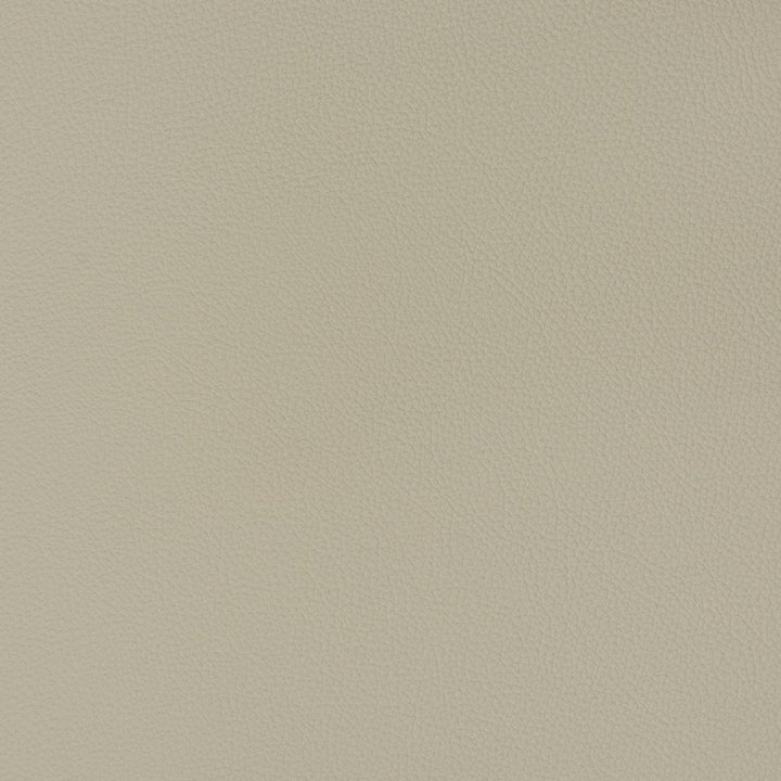 V341 Chrome by Charlotte Fabric Automotive Vinyl 100% Virgin Vinyl, 30oz. Asia Exceeds 220,000 Wyzenbeek Rubs (Heavy Duty) No Repeat 54 Inches - Fabric Carolina -