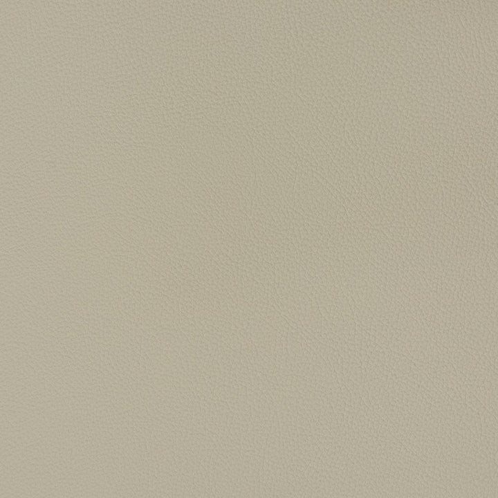 V341 Chrome by Charlotte Designer Fabric Automotive Vinyl 100% Virgin Vinyl, 30oz. Asia Exceeds 220,000 Wyzenbeek Rubs (Heavy Duty) No Repeat 54 Inches - Swanky Fabrics -