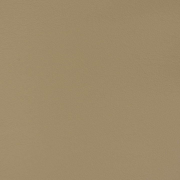V344 Cappuccino by Charlotte Fabric Automotive Vinyl 100% Vinyl, 30oz. Asia Exceeds 220,000 Wyzenbeek Rubs (Heavy Duty) </p><p>Repeat: No Repeat 54 Inches - Fabric Carolina -