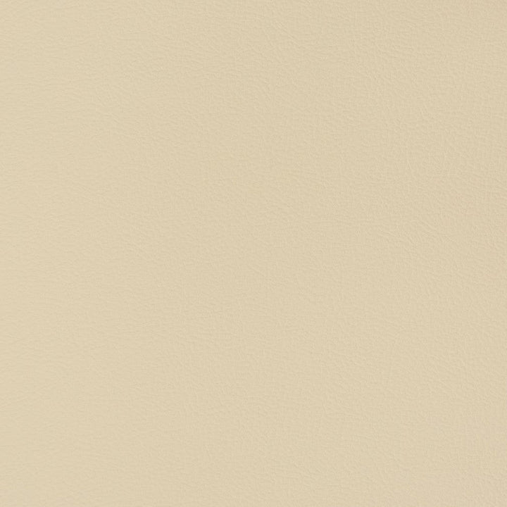 V346 Sand Dollar by Charlotte Designer Fabric Automotive Vinyl 100% Vinyl, 30oz. Asia Exceeds 220,000 Wyzenbeek Rubs (Heavy Duty) </p><p>Repeat: 54 Inches - Swanky Fabrics -