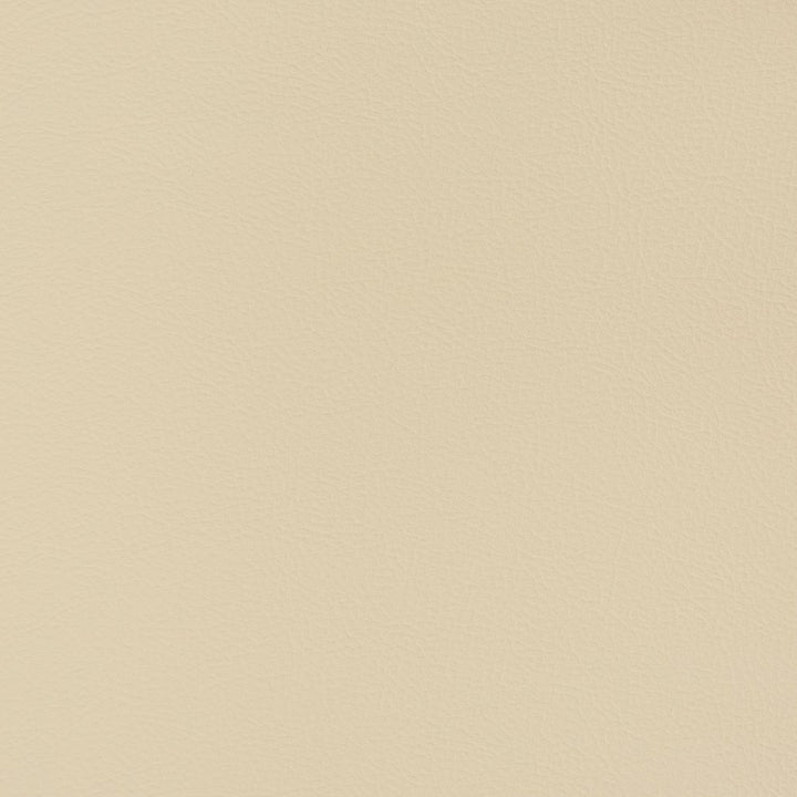 V346 Sand Dollar by Charlotte Fabric Automotive Vinyl 100% Vinyl, 30oz. Asia Exceeds 220,000 Wyzenbeek Rubs (Heavy Duty) </p><p>Repeat: 54 Inches - Fabric Carolina -