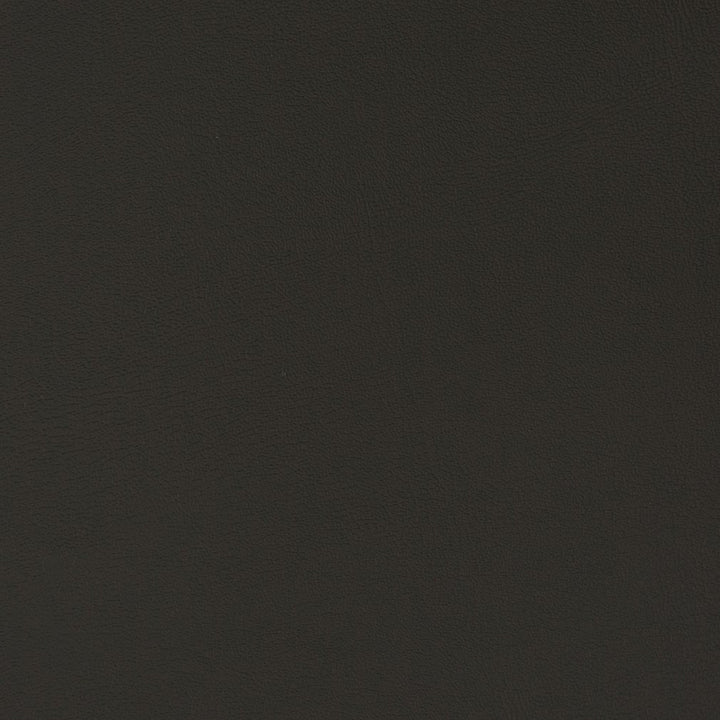 V348 Ink by Charlotte Fabric Automotive Vinyl 100% Virgin Vinyl, 30oz. Asia Exceeds 220,000 Wyzenbeek Rubs (Heavy Duty) No Repeat 54 Inches - Fabric Carolina -
