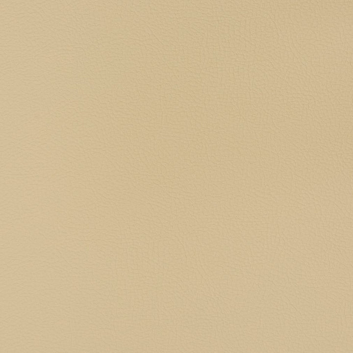 V349 Oat by Charlotte Fabric Automotive Vinyl 100% Vinyl, 30oz. Asia Exceeds 220,000 Wyzenbeek Rubs (Heavy Duty) </p><p>Repeat: 54 Inches - Fabric Carolina -