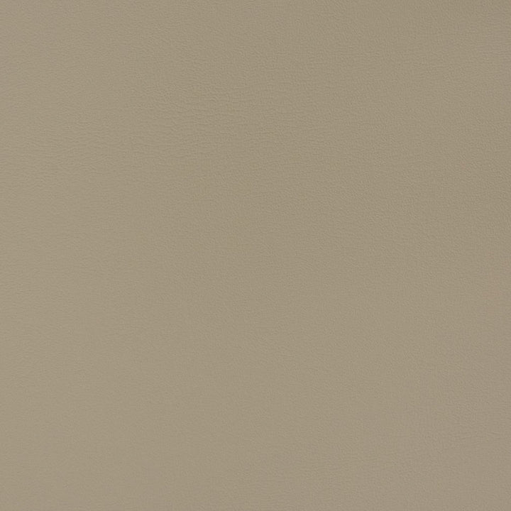V352 Cement by Charlotte Fabric Automotive Vinyl 100% Virgin Vinyl, 30oz. Asia Exceeds 220,000 Wyzenbeek Rubs (Heavy Duty) No Repeat 54 Inches - Fabric Carolina -