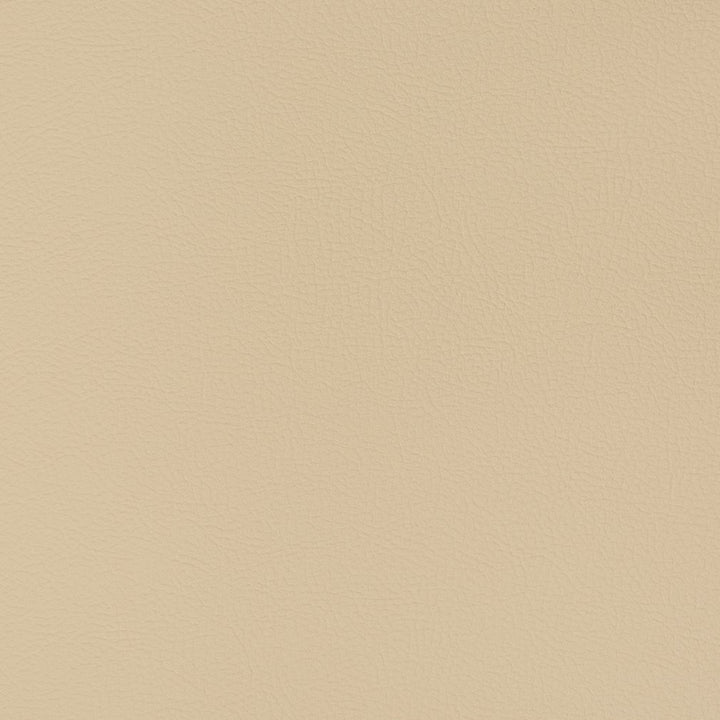 V353 Linen by Charlotte Fabric Automotive Vinyl 100% Virgin Vinyl, 30oz. Asia Exceeds 220,000 Wyzenbeek Rubs (Heavy Duty) No Repeat 54 Inches - Fabric Carolina -