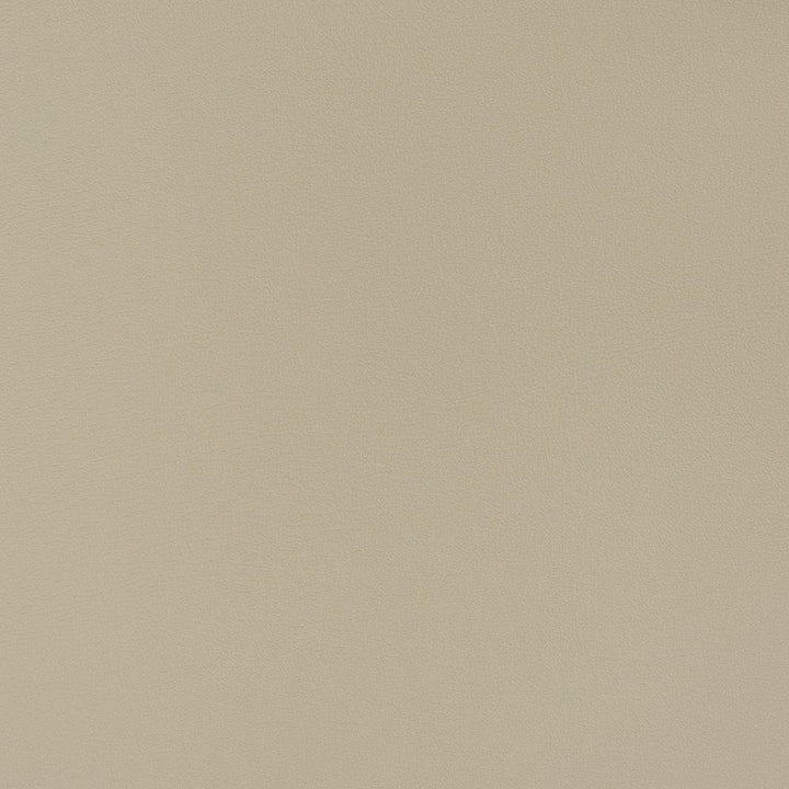 V356 Dolphin by Charlotte Designer Fabric Automotive Vinyl 100% Vinyl, 30oz. Asia Exceeds 220,000 Wyzenbeek Rubs (Heavy Duty) </p><p>Repeat: 54 Inches - Swanky Fabrics -