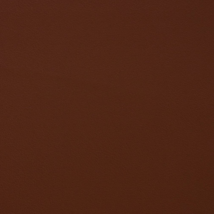 V357 Canyon by Charlotte Designer Fabric Automotive Vinyl 100% Virgin Vinyl, 30oz. Asia Exceeds 220,000 Wyzenbeek Rubs (Heavy Duty) No Repeat 54 Inches - Swanky Fabrics -
