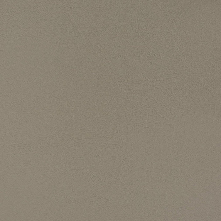 V358 Lead by Charlotte Fabric Automotive Vinyl 100% Vinyl, 30oz. Asia Exceeds 220,000 Wyzenbeek Rubs (Heavy Duty) </p><p>Repeat: No Repeat 54 Inches - Fabric Carolina -