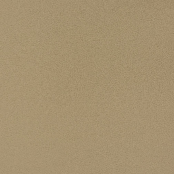 V359 Sandalwood by Charlotte Fabric Automotive Vinyl 100% Vinyl, 30oz. Asia Exceeds 220,000 Wyzenbeek Rubs (Heavy Duty) </p><p>Repeat: No Repeat 54 Inches - Fabric Carolina -