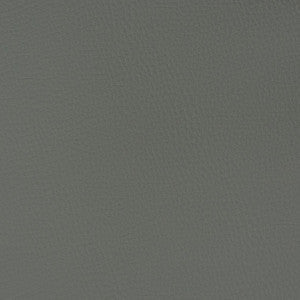 V362 Graphite by Charlotte Fabric